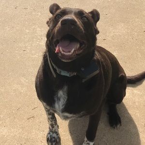 Meet your Posher, Kyle